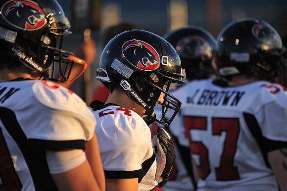 D3S_4478