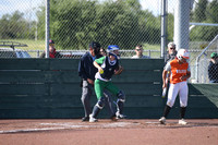 Dixon VS Woodland 4/13/17