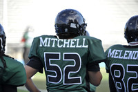 Bandits VS Amazons 6-11-11 010
