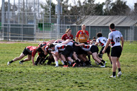 TB5_8335 copy
