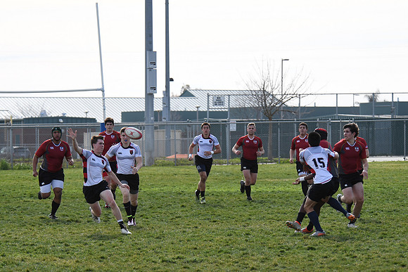 TB5_8517 copy