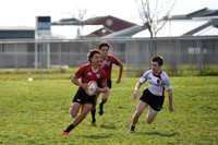 TB5_8298 copy