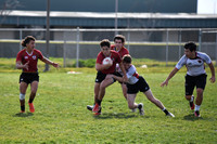 TB5_8323 copy