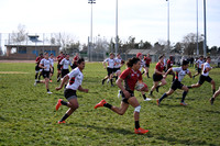 TB5_8366 copy