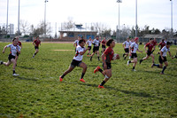 Boys Varsity Gold vs. Marin 1-29-17