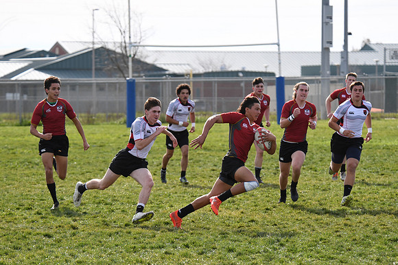 TB5_8305 copy