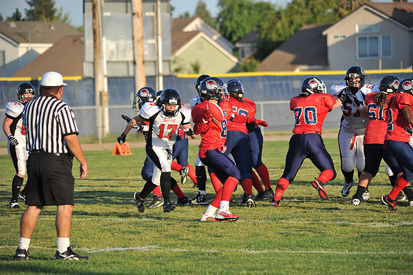 D3S_2795