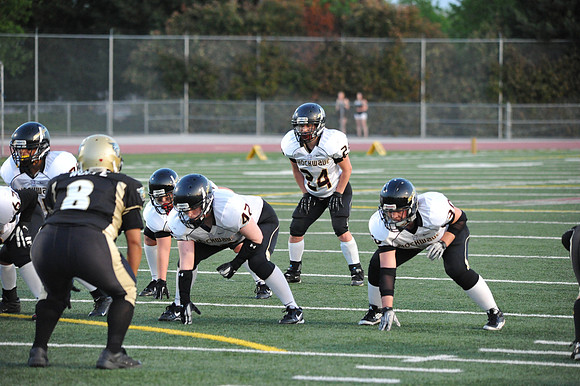 D3S_0639