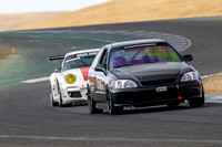 _Z9T7004 copy