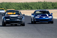 _Z9T9185 copy