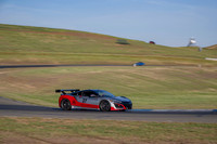 _ZTB1787-1 copy