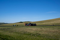 _ZTB0441-1 copy