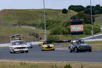 _ZTB4575-1 copy