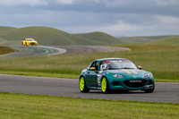 _ZTB9748-1 copy