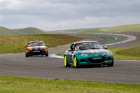 _ZTB9638-1 copy