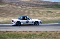_ZT97102-3 copy