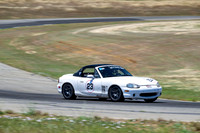_ZTB3934-3 copy