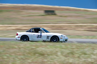 _ZTB4006-3 copy