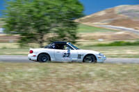 _ZTB4008-3 copy