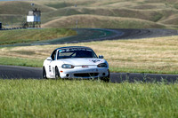 _ZTB4304-3 copy