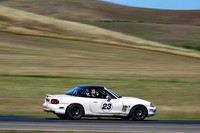 _ZTB5346-3 copy