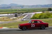 _ZTB5496-1 copy