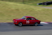 _ZTB9870-1 copy