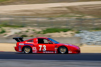 _ZT91161-1 copy