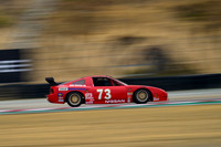 _ZT91403-1 copy
