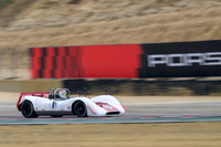 _ZT91303-1 copy