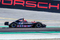 _ZTB4616-1 copy