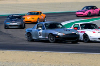 _ZTB4248-1 copy