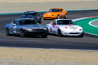 _ZTB4247-1 copy