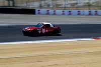_ZT93893-1 copy