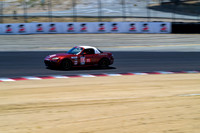 _ZT93891-1 copy