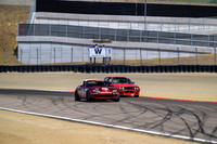 _ZT93556-1 copy