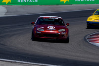 _ZTB4670-1 copy