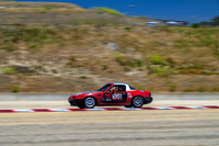 _ZT96637-1 copy