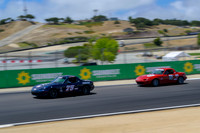 _ZT94181-1 copy