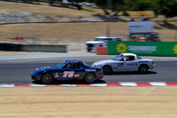 _ZT94221-1 copy