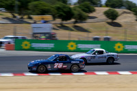 _ZT94220-1 copy