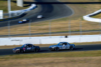 _ZTB0709-1 copy