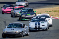 _ZT98148-1 copy