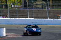 _ZTB9176-1 copy
