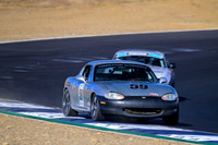 _ZT90736-1 copy