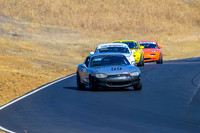 _ZTB6813-1 copy