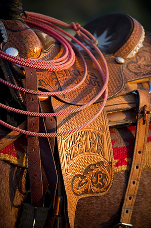 006 Shasta Camera Club 2010 11062010