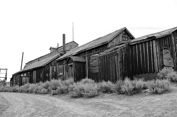 Bodi04710012006 bw