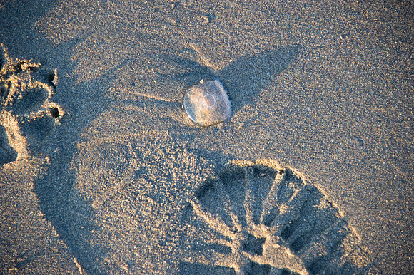 D3S_6116