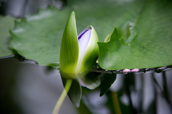 _D3S6803_0189